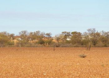 Mabel Creek Project